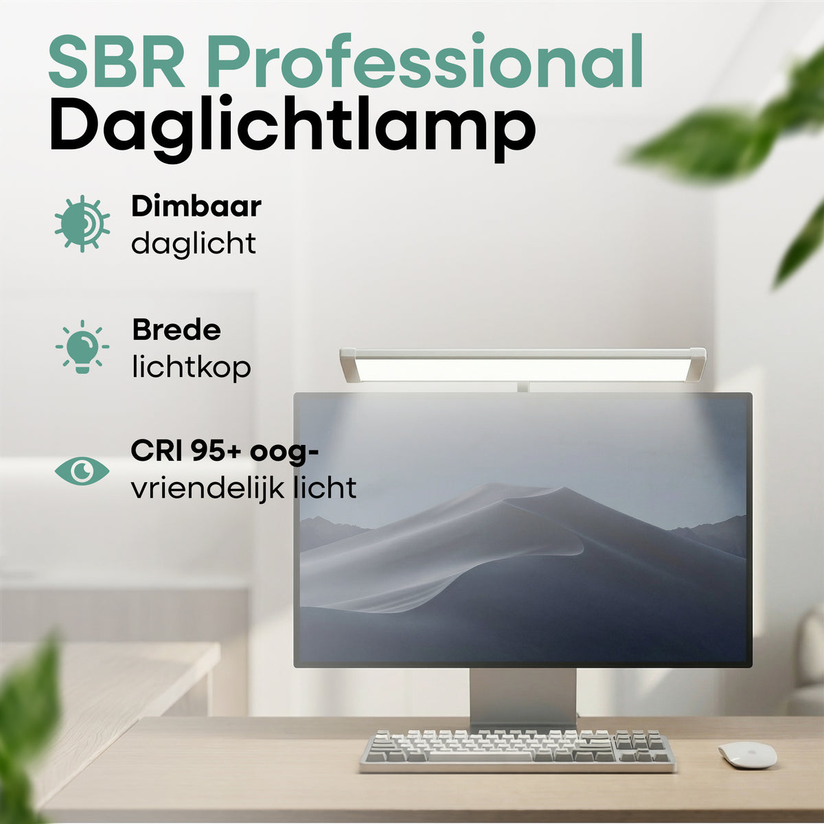 SBR Professional Wit