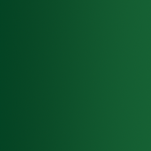 Xpress Farbe Trollgrün - 18ml