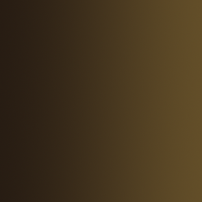 Xpress Farbe Wasteland Brown - 18ml