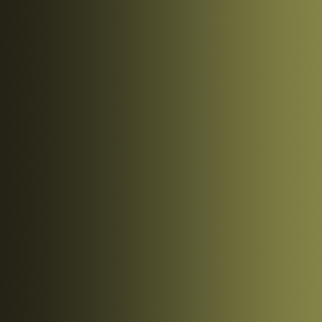 Xpress Farbe Camouflage Grün - 18ml