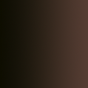 Xpress Farbe Muddy Ground - 18ml