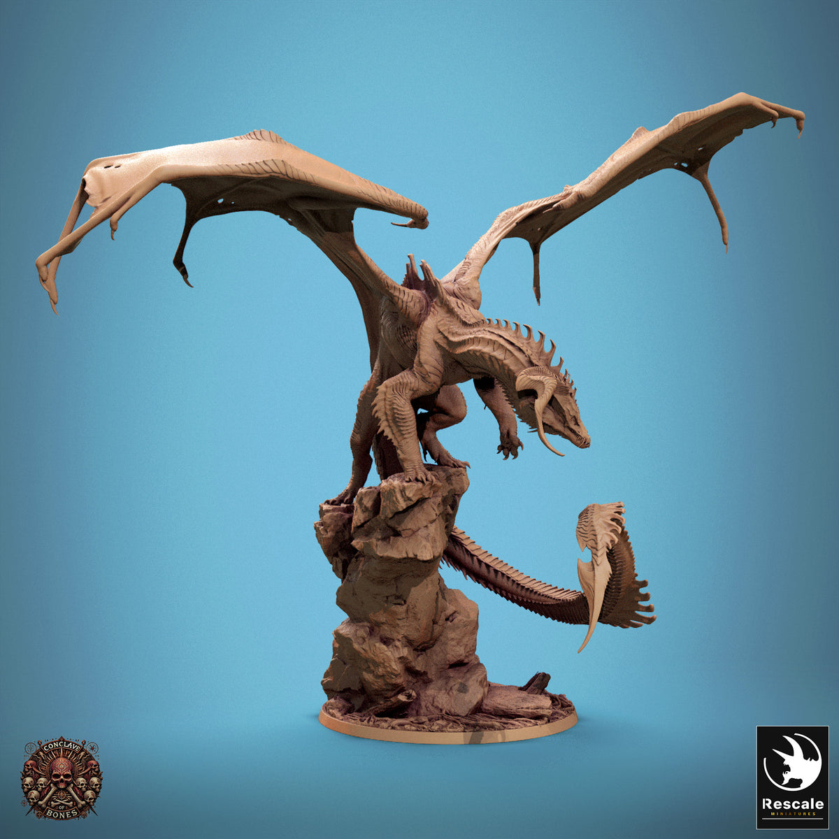 Schwarzer Drache – Haltung