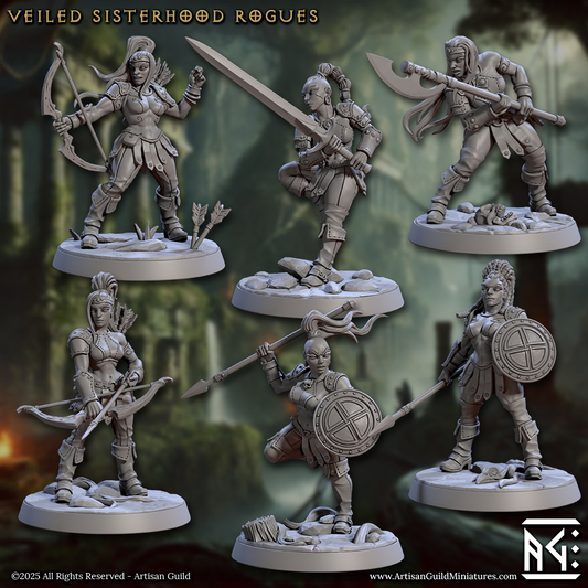 Veiled Sisterhood Rogues