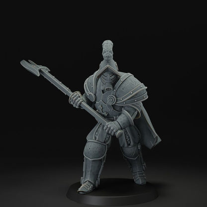 Papal Heavy Infantry