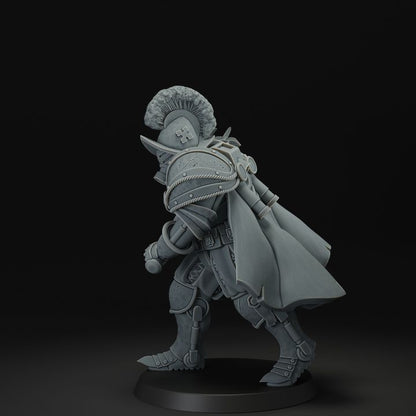 Papal Heavy Infantry