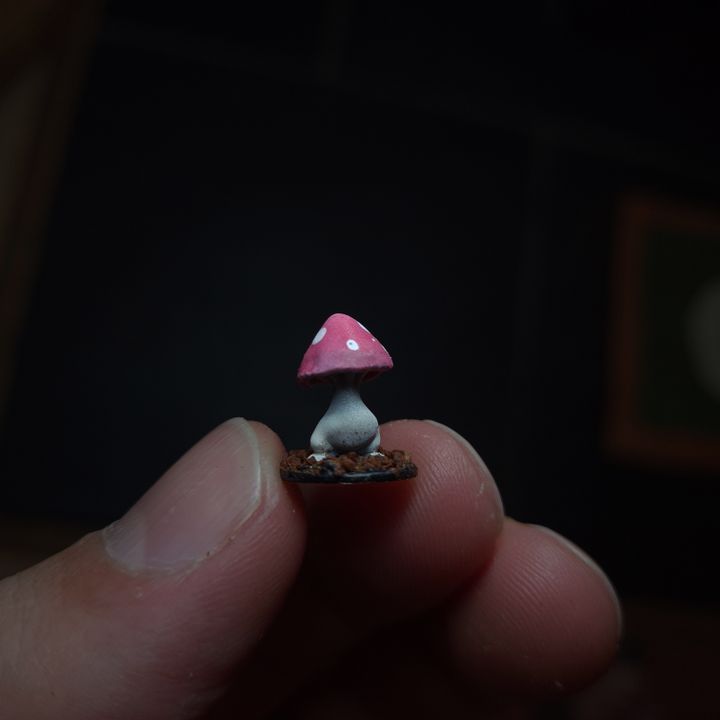 March of The Mushrooms (pt2)