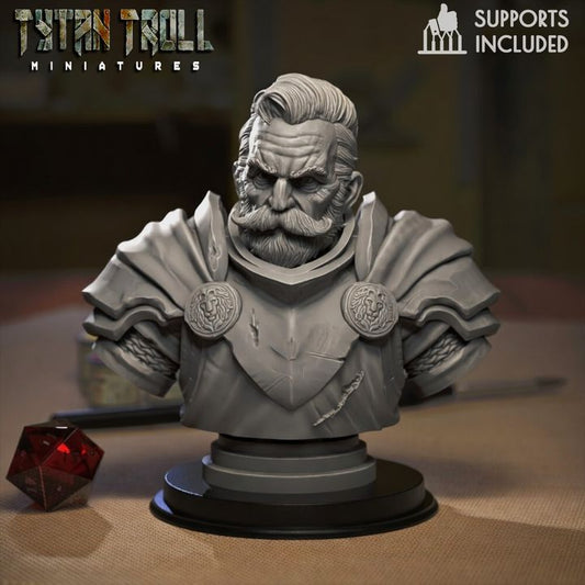 Old Warrior Bust