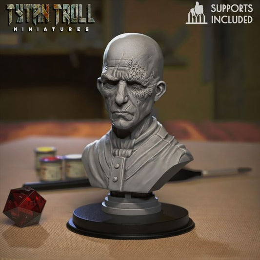 Scarred Face Bust