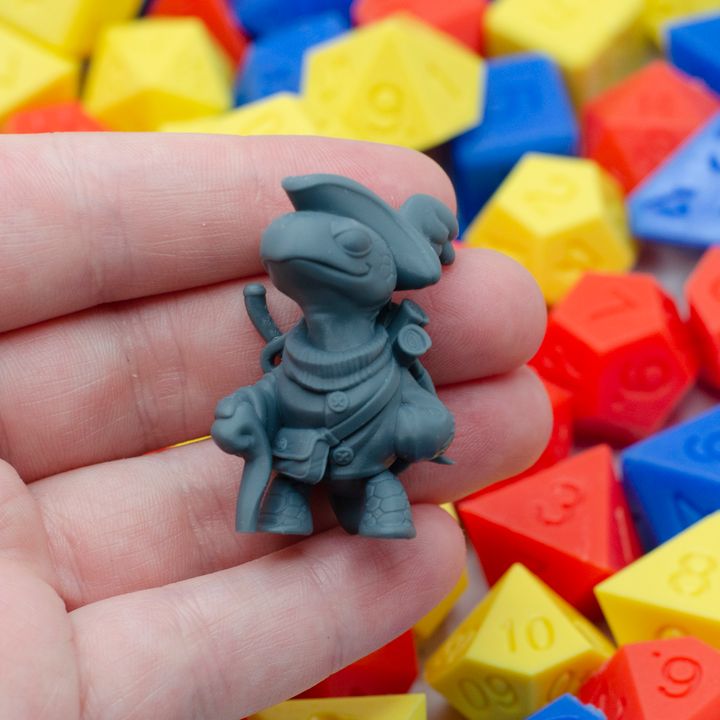 Turtle Sailor