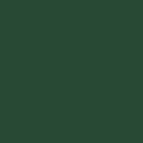 Squidmar Color - Drachonzah Green