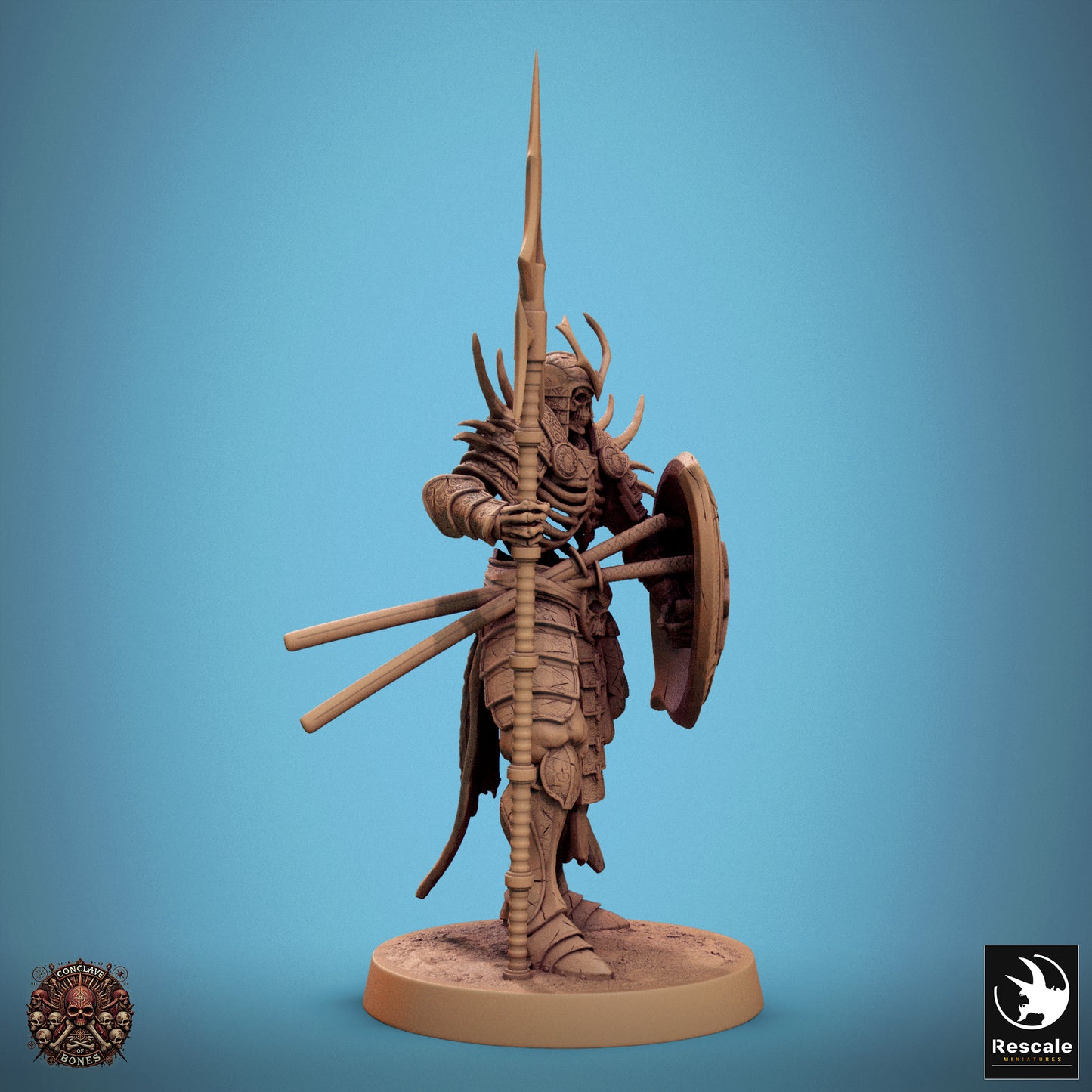 Skeleton - Spear Shield Guard