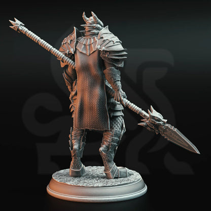 Ritter des Drachen