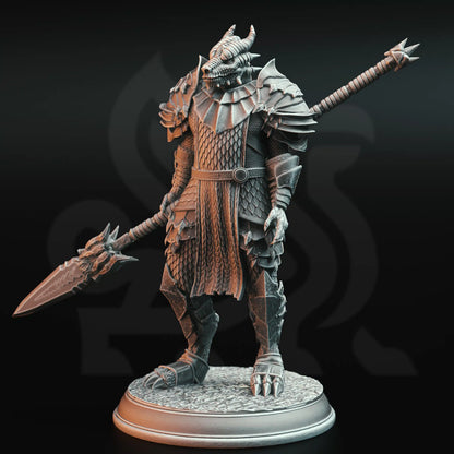 Ritter des Drachen