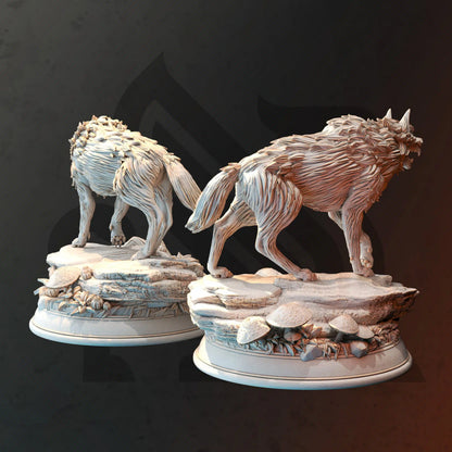 Northern Direwolves