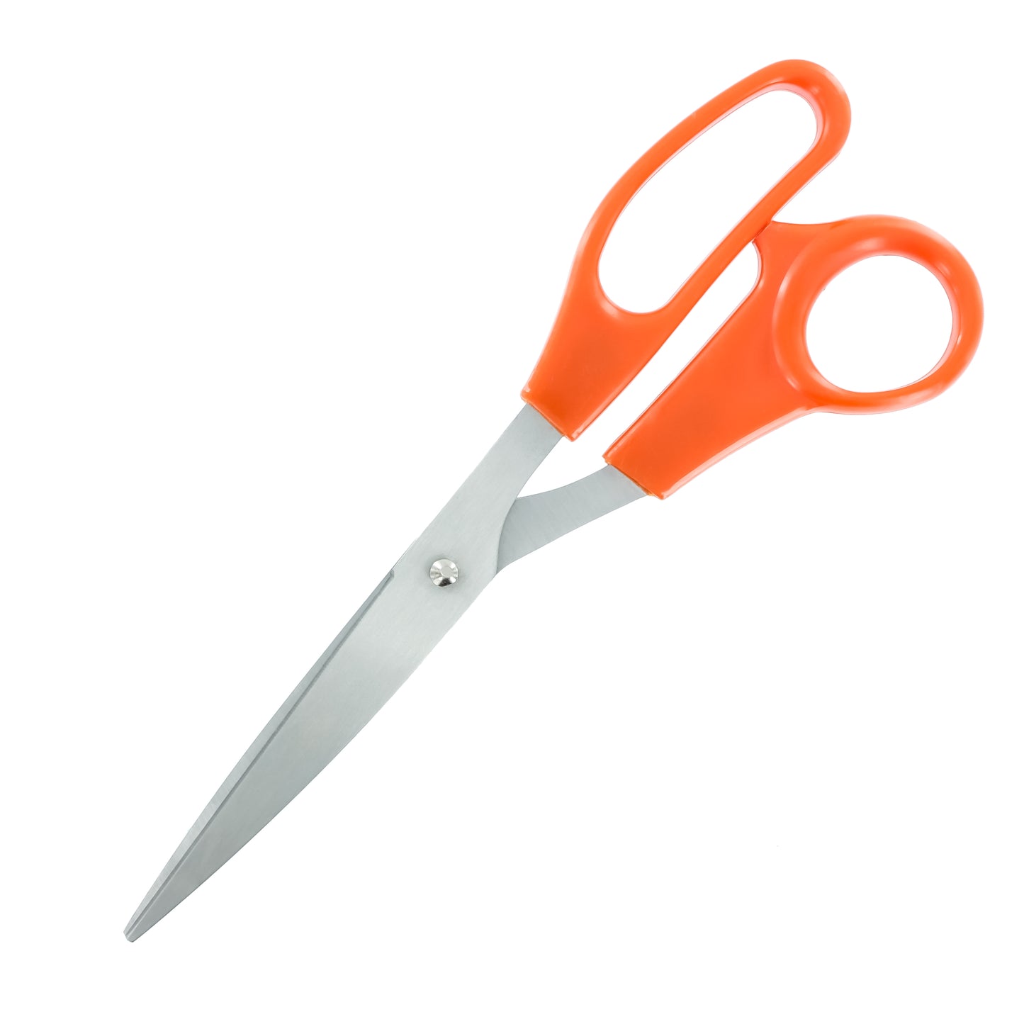 Stainless Steel Scissors 