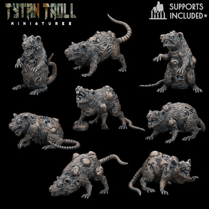 Giant Plague Rats (8)