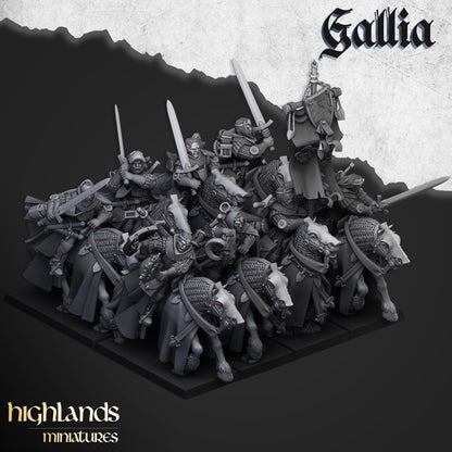 Gallia Questing Knights