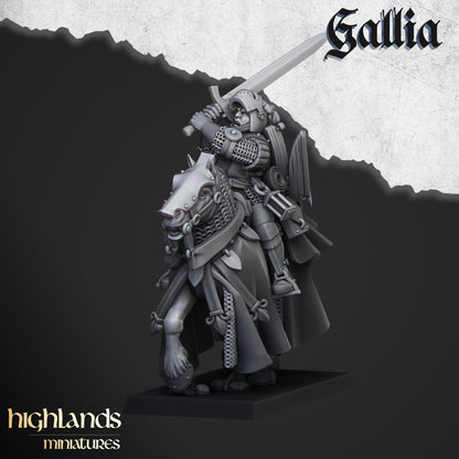 Gallia Questing Knights