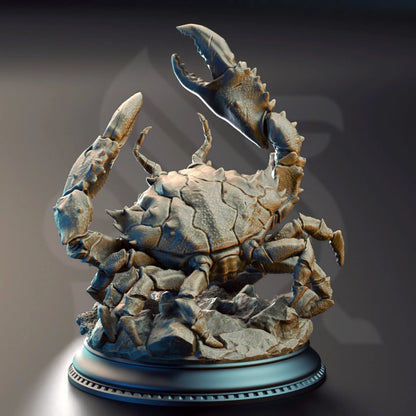 Snippy - Klingenklauenkrabbe