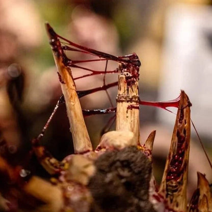 Dirty Down Gore - 15ml