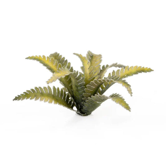 Deer Fern - Laser Plants