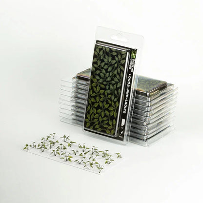 Lords-and-Ladies - Laser Plants