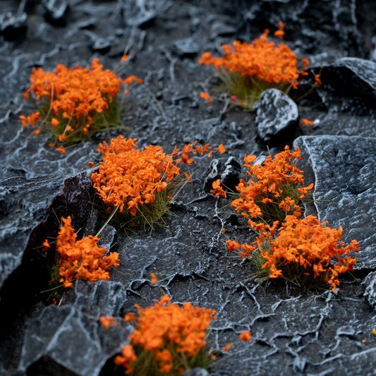 Orange Flowers